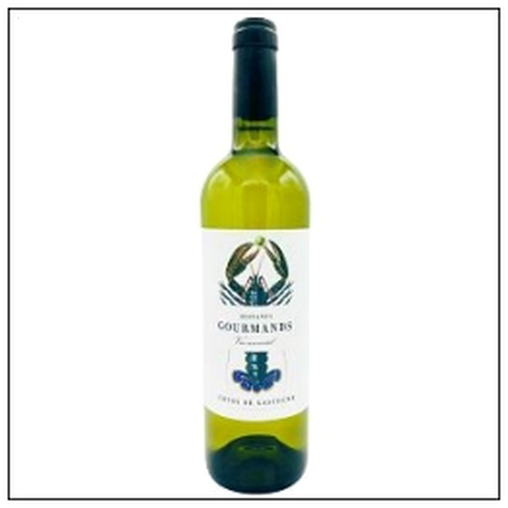 CAT-08485 COTE GASCOGNE BLANC INSTA NT GOURMANDS 75CL 2023 - Image 1