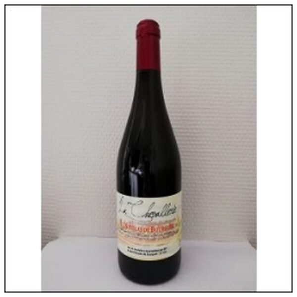 ST NIC.BOURGUEIL LA CHEVA LLERIE 2023