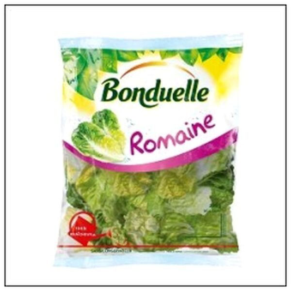 LAITUE ROMAINE 200G BONDUELLE