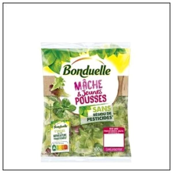 MACHE & JEUNES POUSSES 100G SANS RESIDU PESTICID