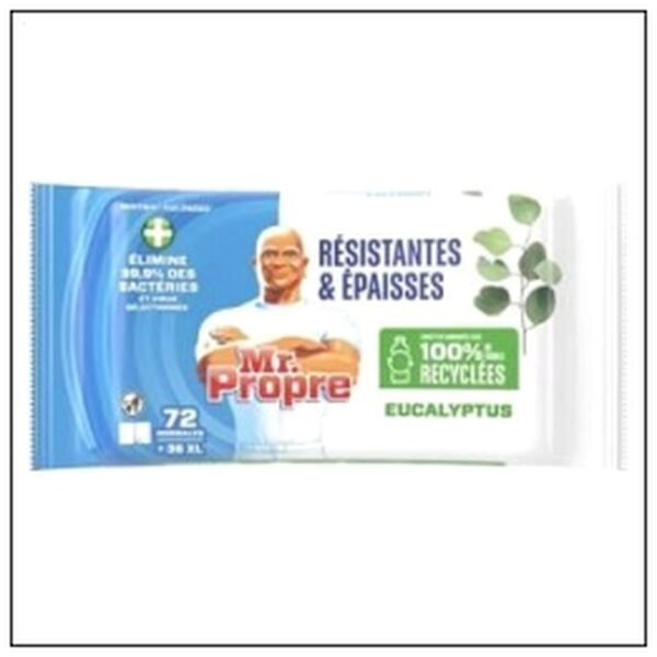 LINGETTES X72 EUCALYPTUS MR PROPRE