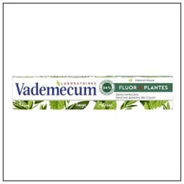 DENTIFRICE FLUOR & PLANTE S 75ML VADEMECUM
