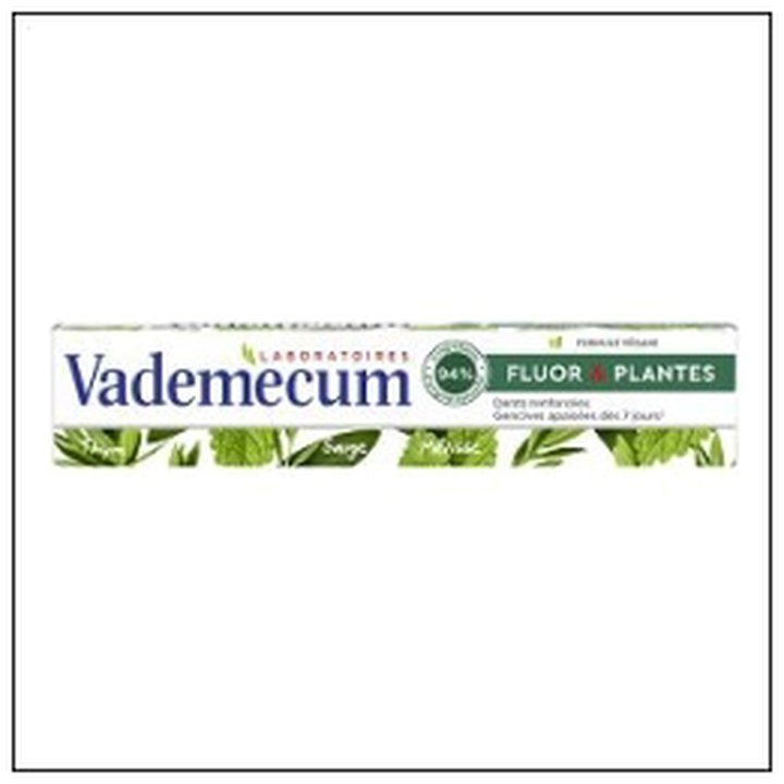 CAT-08824 DENTIFRICE FLUOR & PLANTE S 75ML VADEMECUM - Image 1