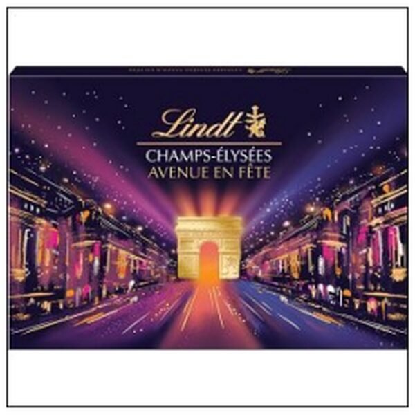 BOITE CHAMPS ELYSEES AVENUE EN FETE 467G